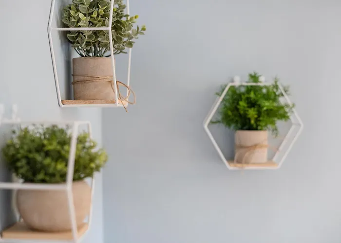 Urban Jungle Design - Historic Center With Free Parking & Panoramic View By Hero Homes Apartament